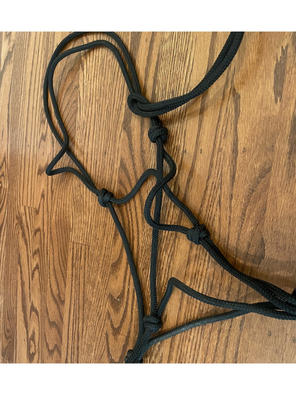 Black Rope Halter